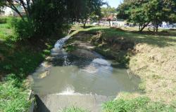 Córrego do nado com as duas margens definidas por um gramado.