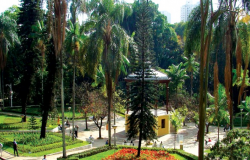 Imagem do Parque Municipal