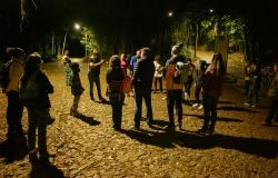 Um grupo de pessoas está reunido à noite em um caminho de paralelepípedos na mata.