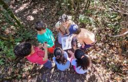 Trilhas guiadas em dois parques de Belo Horizonte destacam plantas medicinais, florestas e água 
