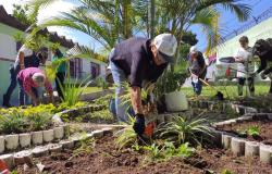 Moradores participam de curso de jardinagem oferecido pela Prefeitura