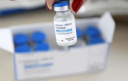 PBH já aplicou 36 mil doses da vacina monovalente contra a Covid-19