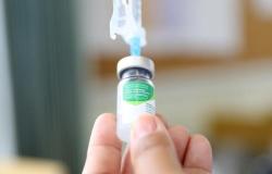Prefeitura de BH já vacinou mais de 520 mil pessoas contra a gripe