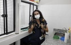 Hospital Veterinário não terá atendimento ao público externo no feriado