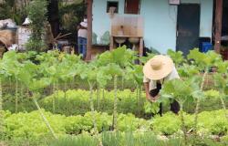 Agricultores urbanos são capacitados para a comercialização de produtos