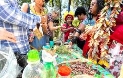 PBH e agricultores realizam mutirão de plantio e formação sobre semente crioula