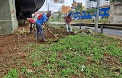 Programa Estamos Juntos inseriu mais de 130 beneficiários em vagas de trabalho