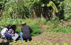Inscrições abertas até 5 de agosto para 80 vagas do Trilha da Agroecologia
