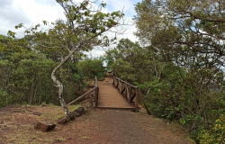 Trilha do Cerrado é uma das atrações do Parque das Mangabeiras neste domingo (12)