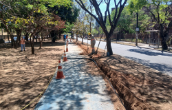 Pista de caminhada da Avenida José Cândido da Silveira ganha nova iluminação