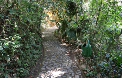 Áreas de visitação no Parque da Mata das Borboletas são ampliadas