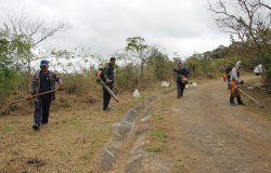 Seminário sobre manejo do fogo nesta sexta-feira (28) tem inscrições gratuitas