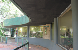 Casa de Répteis do Zoo de BH tem projeto especial de Bem-Estar Animal 