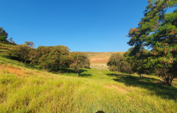 Consulta pública é aberta para planejamento de novo parque urbano em antigo aterro