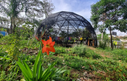 Abertas as inscrições para o curso Conexão Agroecológica 