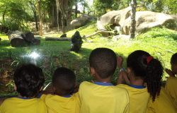 Espaços da Zoobotânica oferecem visitas livres, atividades educativas e gratuidade de acesso 