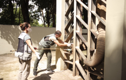 Dia do Trabalhador: Zoo de BH promove bate-papo educativo sobre conservação ambiental