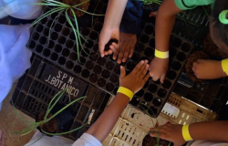 Programa Escola Verde amplia ações de educação ambiental nas Emeis