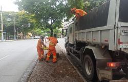 A foto mostra três trabalhadores da limpeza urbana, vestidos com uniformes laranjas e faixas refletivas, realizando o recolhimento de resíduos na calçada. Dois profissionais estão no chão, manuseando os materiais, enquanto o terceiro está sobre a carroceria de um caminhão de coleta. O veículo ocupa boa parte do lado direito da imagem. A cena ocorre em uma via urbana arborizada, com calçada de pedras portuguesas, árvores e veículos ao fundo.