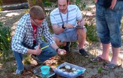 Profissionais de Biologia ensinam técnicas de manejo dos ovos de réptil durante o dia na Flórida, em curso frequantado por biólogo da FZB.