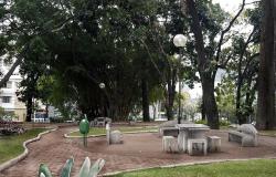 Mesas com vancos de cimento, bacos e calçadas com poste e lixeira cercado por árvores, planta e muito verde. Foto: Divulgação