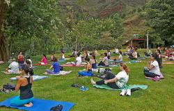 Cerca de 28 pessoas praticam yoga em um parque municipal, ajoelhadas em seus tapetes, durante o dia. 