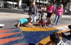 Crianças, adultos e idosos no chão e de pé confeccionando tapetes de serragem