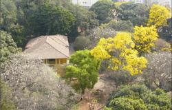 foto da telhado de uma casa que está cercada de arvores. Algumas arvores estão bem floridas, suas flores são amarelas. 