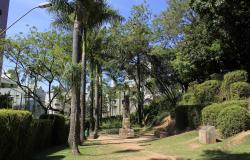 Foto ilustrativa de Parque Municipal Marcos Mazzoni, com palmeiras, e arbustos em caminho cercado de verde.