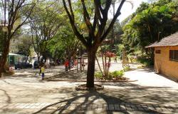 Parque com árvores e aparelhos de ginástica, grama e passeios durante o dia.