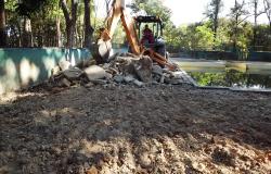 Escavadeira faz limpeza de área no Zoológico