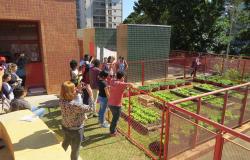 Estudantes estrangeiros observam horta de Escola Infantil