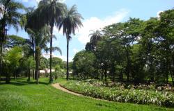 Um grande jardim cheio de árvores e palmeiras.