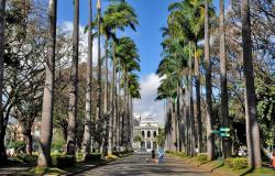 Vista da Praça da Liberdade com o corredor de palmeiras e o Palácio da Liberdade ao fundo.