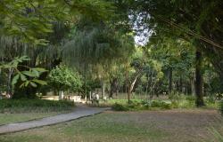 Muitas árvores, gramado e verde no caminho próximo ao lago do Parque Municipal Américo Reneé Giannetti, durante o dia