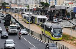 Pista exclusiva de ônibus da Avenida Cristiano Machado. Dois ônibus estão na pista.