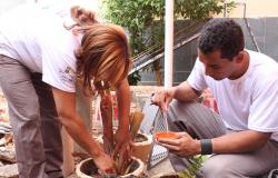 Dois agentes de Combate a Endemias fazem inspeção em vasos de plantas.