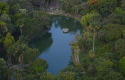 Foto aérea de Parque Municipal Américo Renneé Giannetti, com um lago e muitas árvores