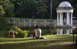 Cidadão sentado contempla lago no Parque Municipal Américo Renneé Giannetti.