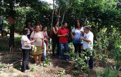Raizeiro Paulino Caldeira ensina o uso de ervas medicinais a sete cidadãos. Atividade faz parte do projeto Café com Saberes, em Venda Nova.