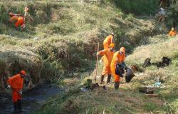 Seis agentes de limpeza urbana, vestidos de laranja, com botas, luvas e boné, fazem limpeza de córrego.