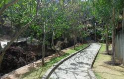 Parque José Lopes dos Reis, um dia ensolarado, um caminho de pedras entre as árvores.