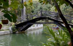 Árvores, lago e ponte do Parque Municipal Américo Renneé Giannetti. Ao fundo, cidadãos passeiam em barco.