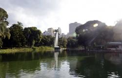 Fonte de água e lago no Parque Municipal Américo Renneé Giannetti. Ao fundo, árvores do parque e prédios de Belo Horizonte.
