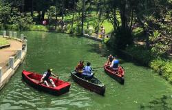Cinco adultos fazem passeio em três barcos diferentes na lagoa do Parque Municipal Américo Renneé Gianneti.