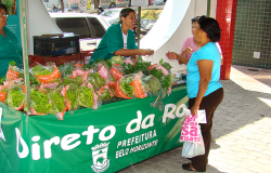 Cidadão vende alface hidropônico a cidadãos em banca de Direto da Roça.
