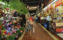 Mulher faz compras no Mercado Central, corredor tem flores de um lado e queijos de outro.