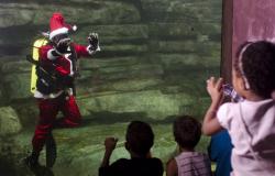 Papai Noel mergulhador no Aquário do Rio São Francisco acena para crianças.