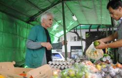 Homem vende legumes e ovos a cidadão em banca de feira. 