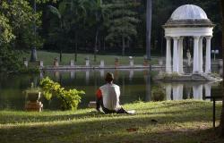 Cidadão, sentado na grama, observa lago e coreto do Parque Municipal Américo Renné Gianneti.